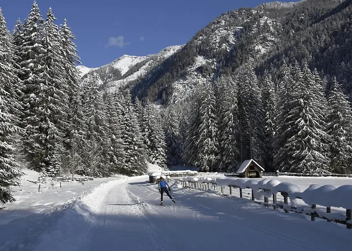 Ledermoos - Ski, Langlauf & Wandern In Appartement *
